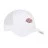 Кепка Dickies Hanston Trucker Cloud